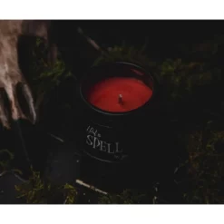 Ukonic Disney Hocus Pocus "I Put A Spell On You" Ceramic Cauldron Candle -Online Home Decoration GUEST 0b34ae88 4548 4639 af12 4cc282b1fb7e