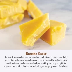 Candle By The Hour 60-Hour Round Candle Refill, Eco-friendly Natural Beeswax With Cotton Wick -Online Home Decoration GUEST 1be736d2 98df 44a4 a9c7 7790105f7a35