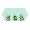 Pineapple Crown Dry Erase Hexagon Peel And Stick Wall Decal Green - RoomMates -Online Home Decoration GUEST 1cf2f106 ad25 472d 90cf 58ac968adffb