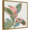 16" X 16" Pink Ficus I By Asia Jensen Framed Canvas Wall Art - Amanti Art