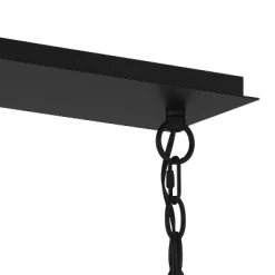 Possini Euro Design Carrine Black Silver Linear Pendant Chandelier 38 1/2" Wide Modern Clear Crystal 8-Light Fixture For Dining Room Kitchen Island 13 Possini Euro Design Carrine Black Silver Linear Pendant Chandelier 38 1/2" Wide Modern Clear Crystal 8-Light Fixture For Dining Room Kitchen Island -Online Home Decoration GUEST 42025a48 301b 4d18 8947 151024f35d61