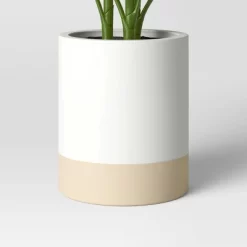 Large Variegated Plant - Threshold™ -Online Home Decoration GUEST 7d5c4722 8e80 4f51 9089 0f72358617e5