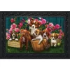 In The Garden Spring Doormat Indoor Outdoor 30" X 18" Briarwood Lane -Online Home Decoration GUEST 86bfe66a 882e 4402 83c4 3b50abac8897
