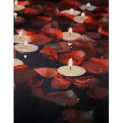 Northlight White And Red Rose Petal LED Flickering Canvas Wall Art 15.75" X 11.75" -Online Home Decoration GUEST c183c6de 2486 4b2f b410 daf7d53df8b4