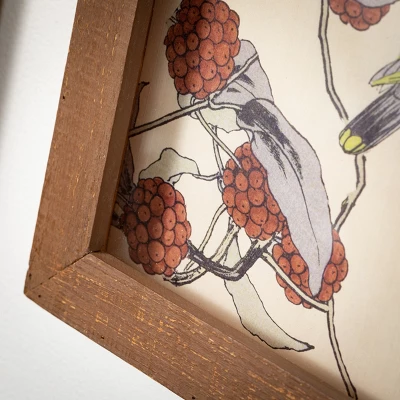 Bird Wall Art Multicolor 18"H Wood Set Of 4 3 Bird Wall Art Multicolor 18"H Wood Set Of 4